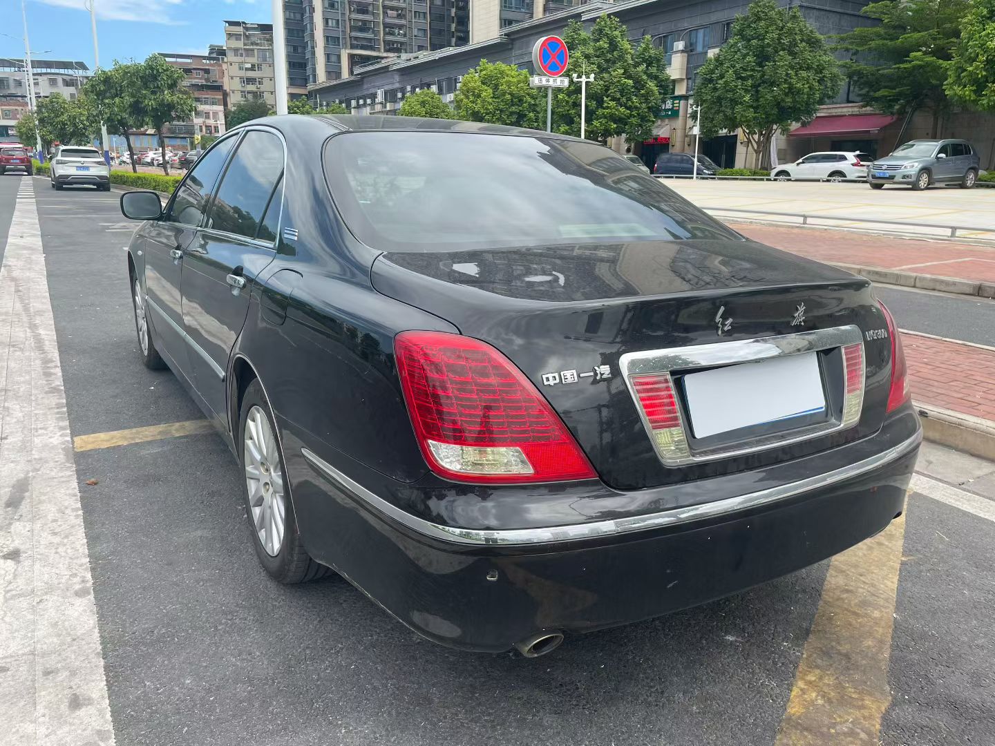 HongQi ShengShi 2008 صورة سيارة #5