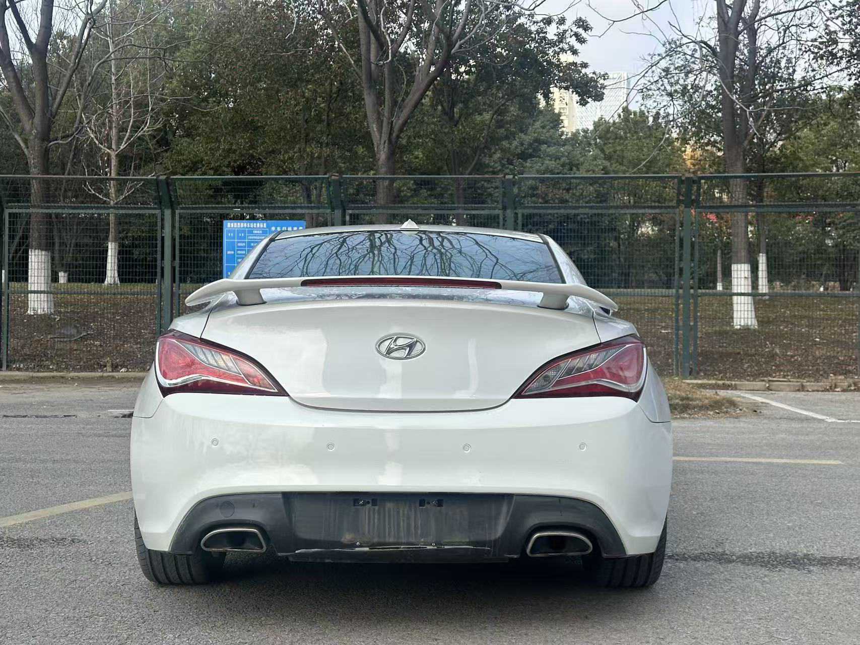 Hyundai Rohens-Coupe 2013 car image #5