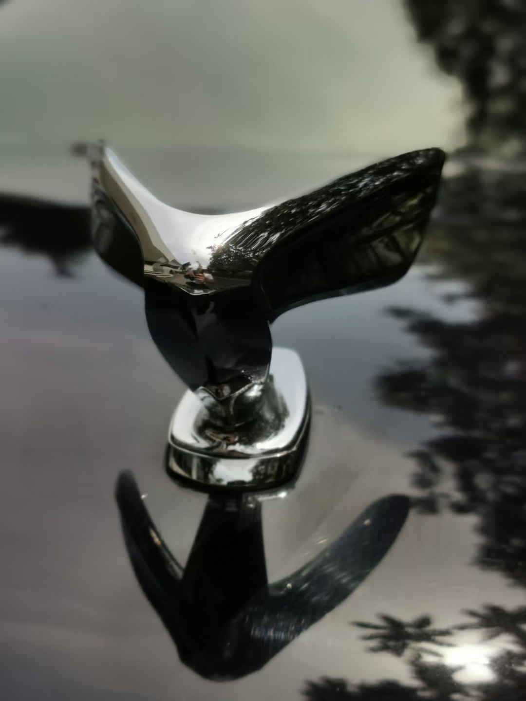 Kia Opirus 2009 image de voiture #5