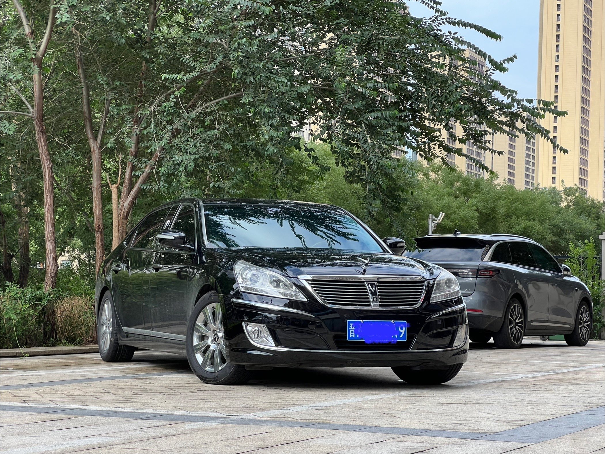 Hyundai Equus 2012 #5 Hyundai Equus 2012 immagine di auto #5