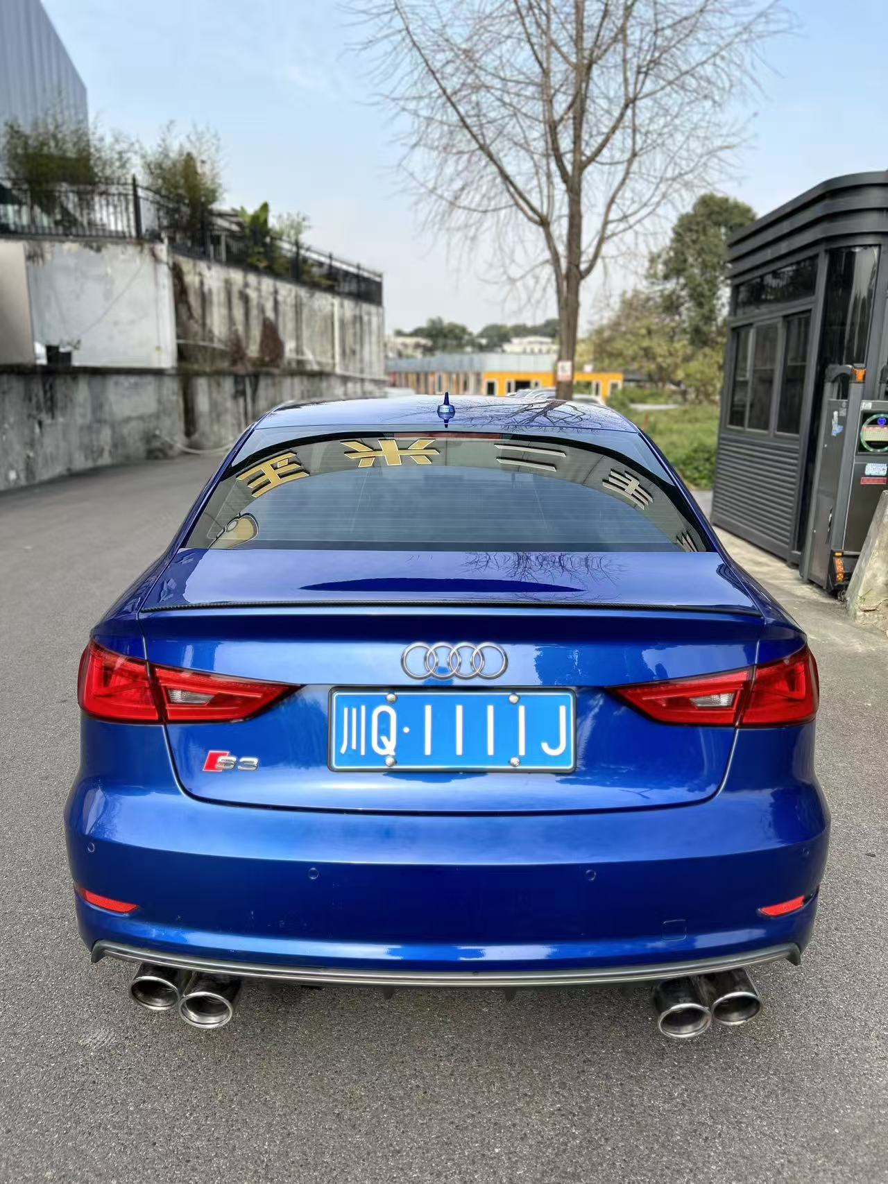 Audi S3 2016 car image #5