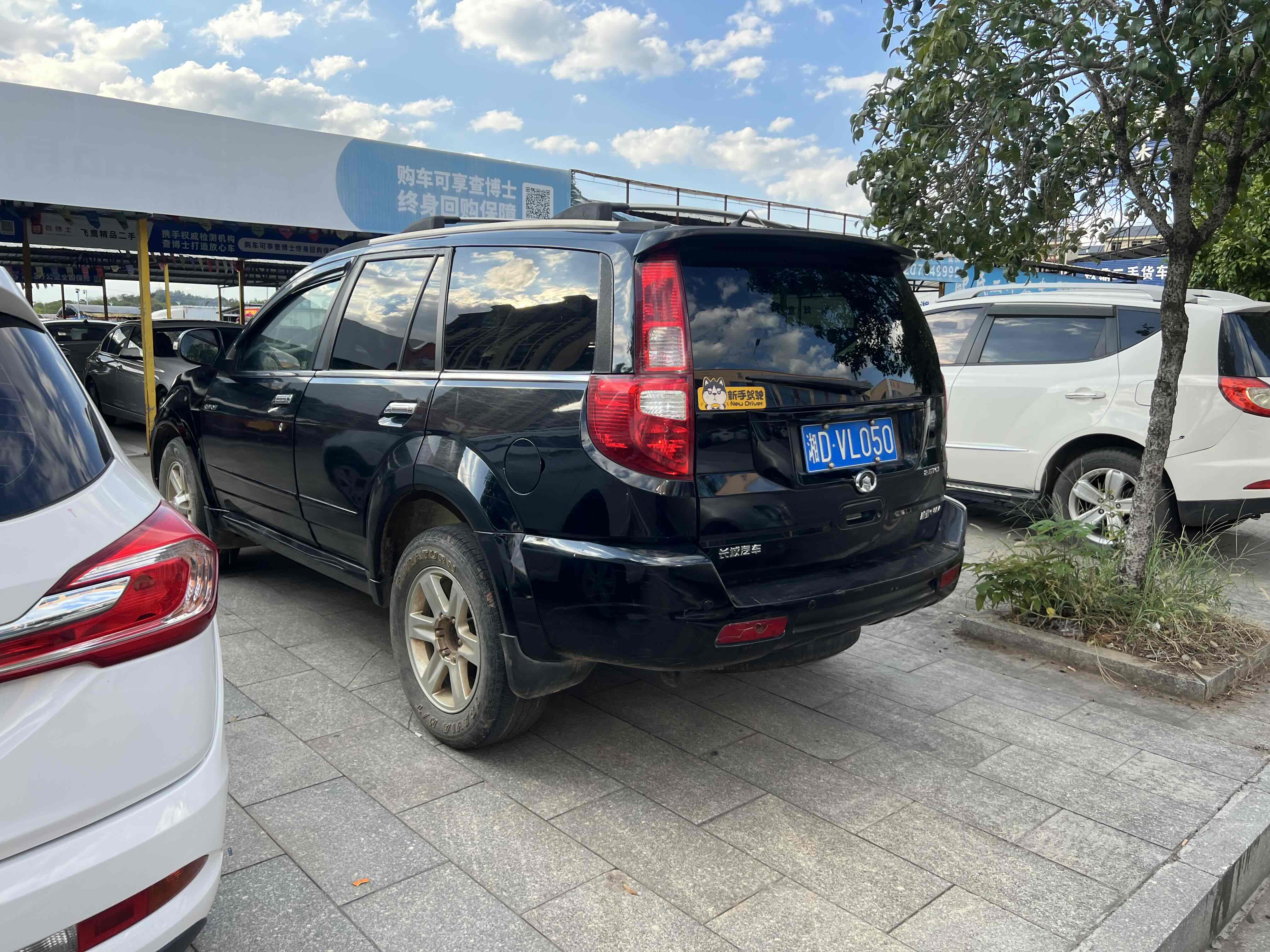 Haval H3 2010 #5 Haval H3 2010 imagem de carro #5