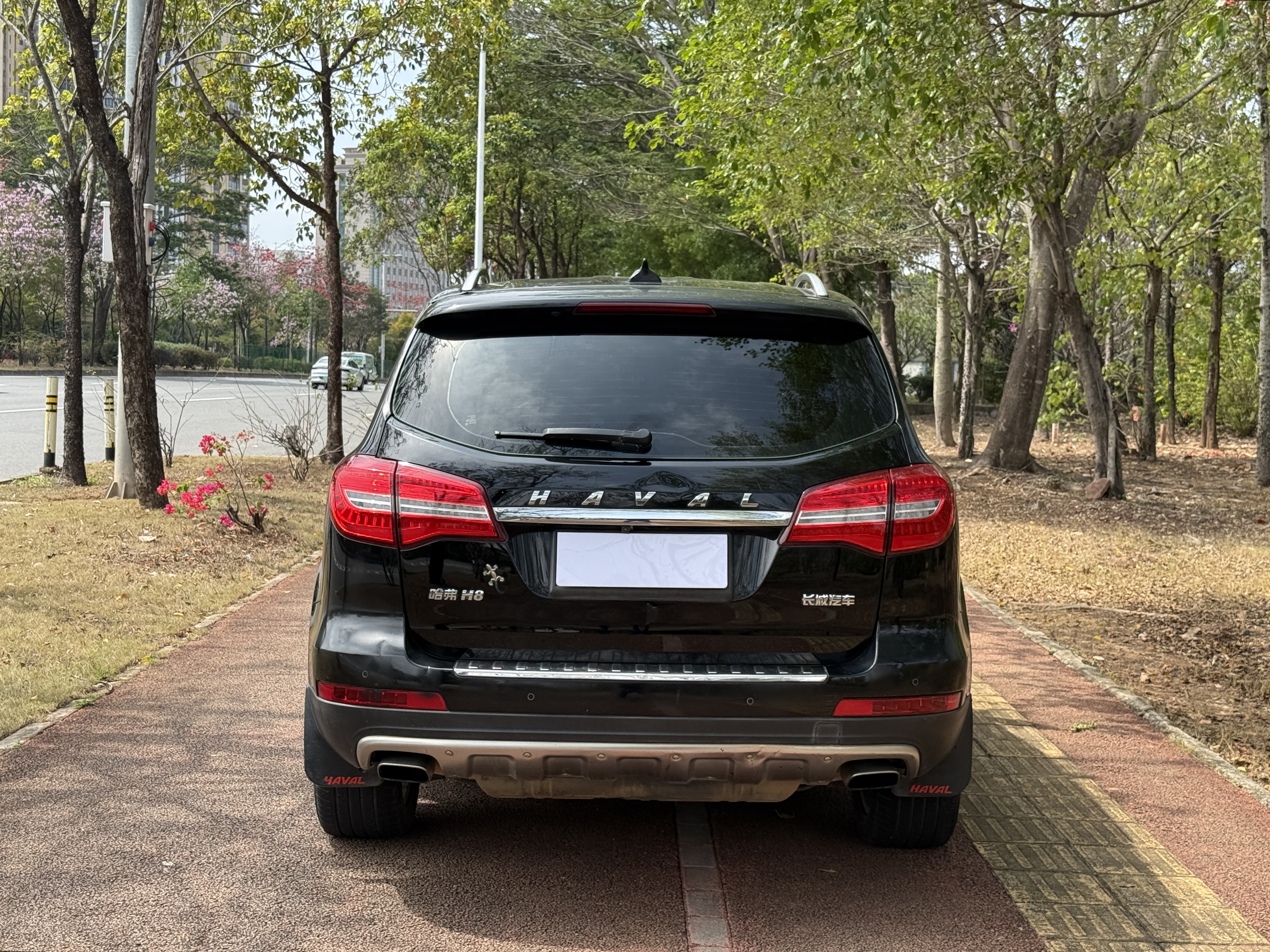 Haval H8 2015 imagen de coche #5