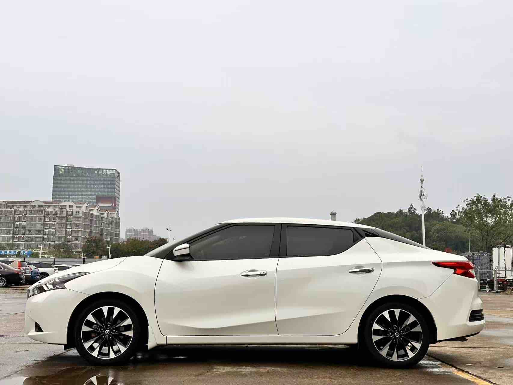 日产 蓝鸟 2019 汽车图片 #5