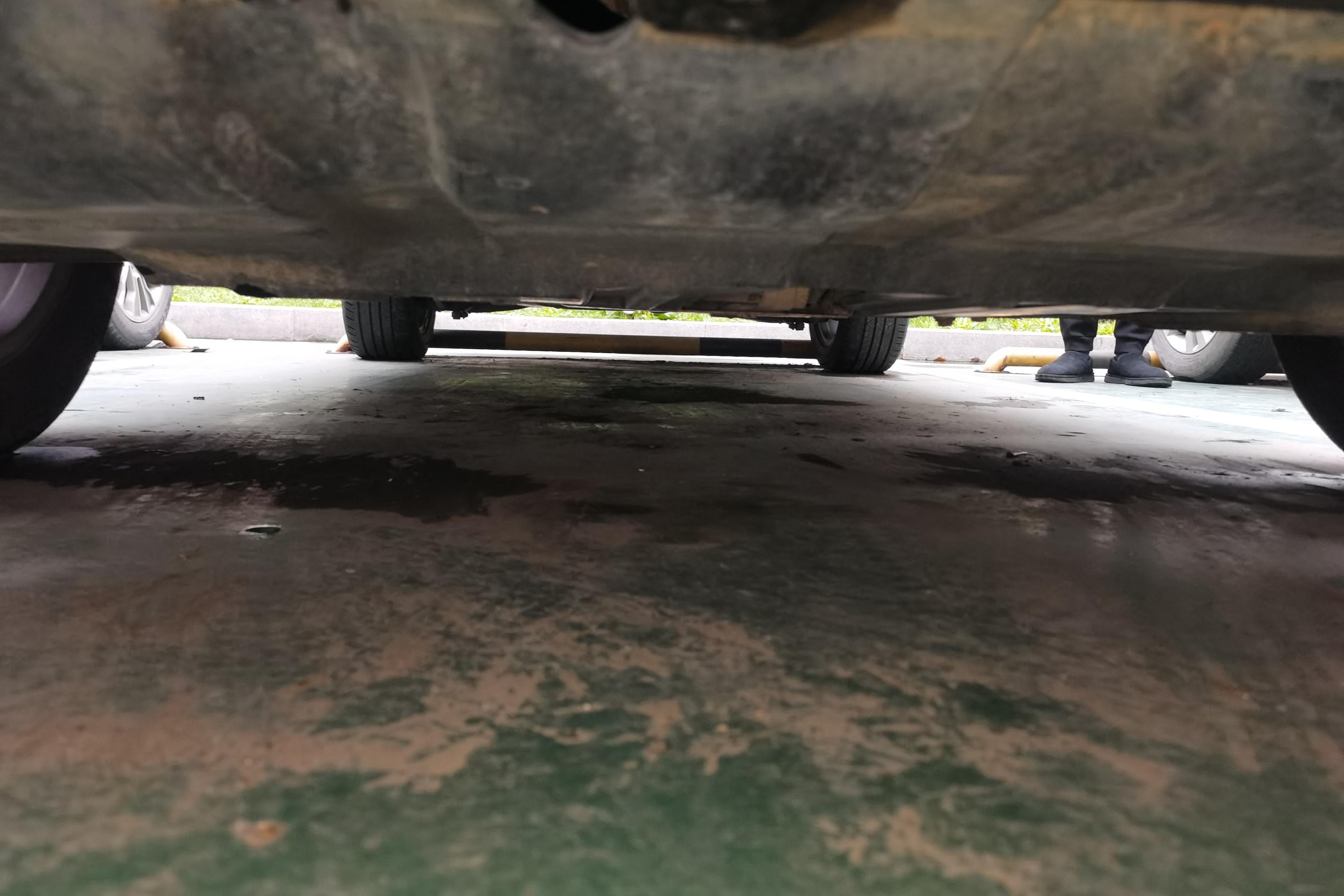 Ford Territory 2019 immagine di auto #5