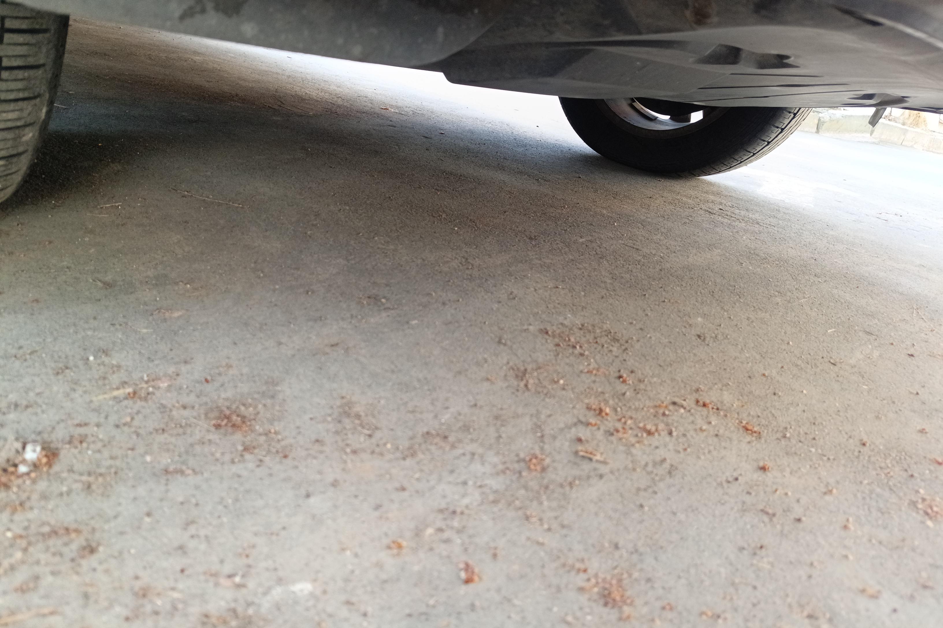 Volkswagen Caravelle 2016 immagine di auto #5