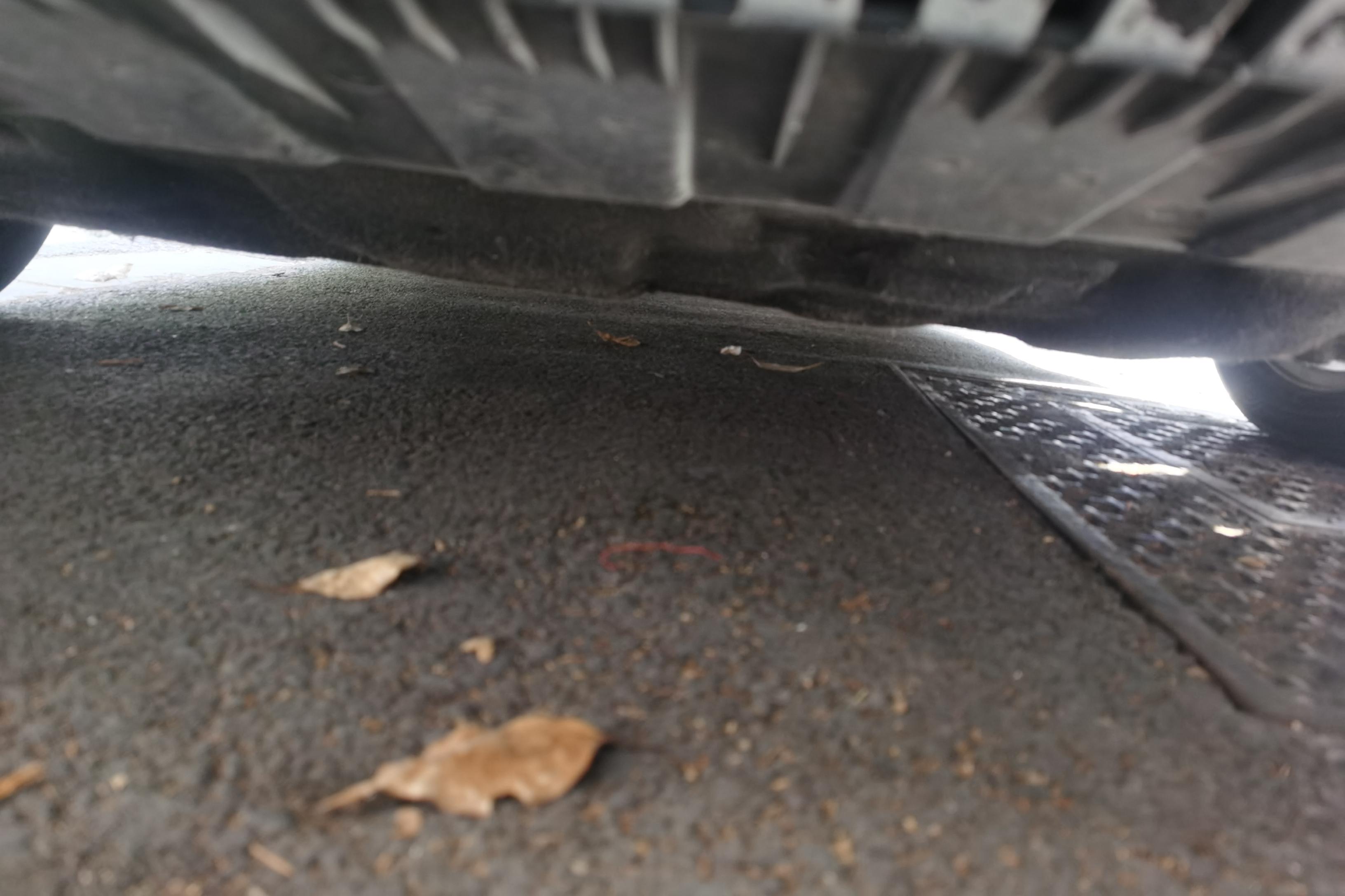 Ford Escort 2021 car image #5