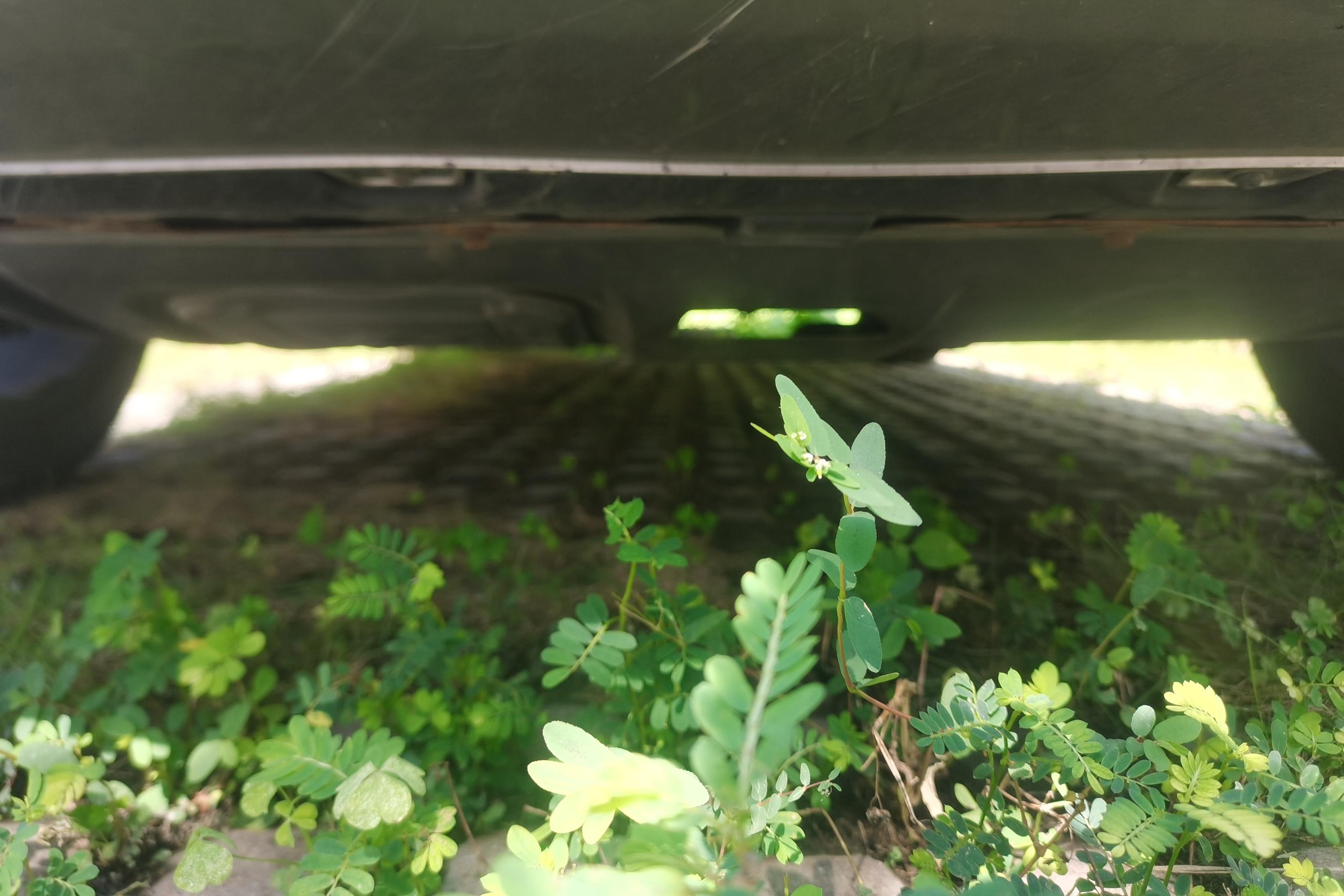 GAC Trumpchi GS5 2018 #5 GAC Trumpchi GS5 2018 car image #5