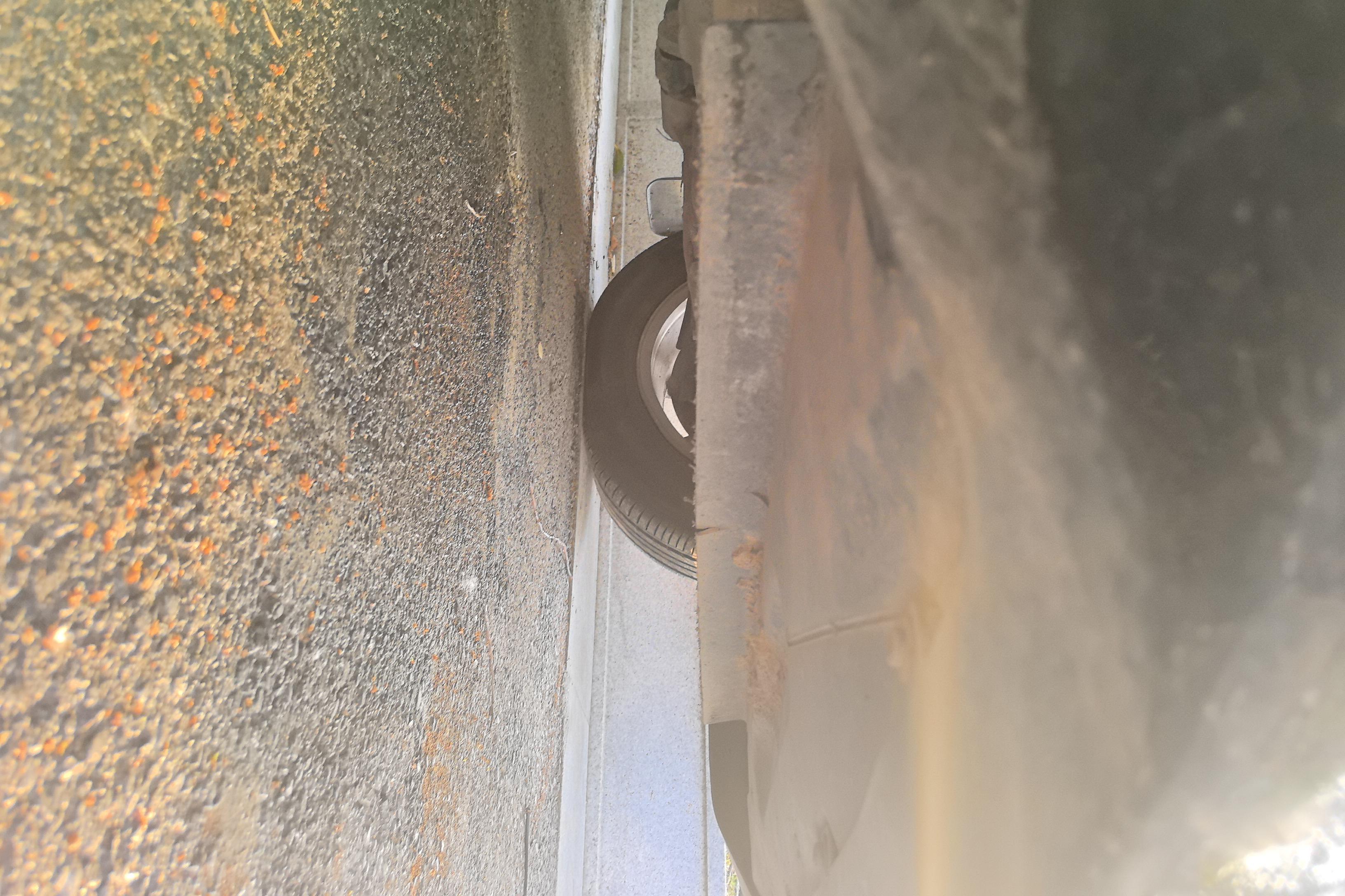 Ford Tourneo 2017 car image #5