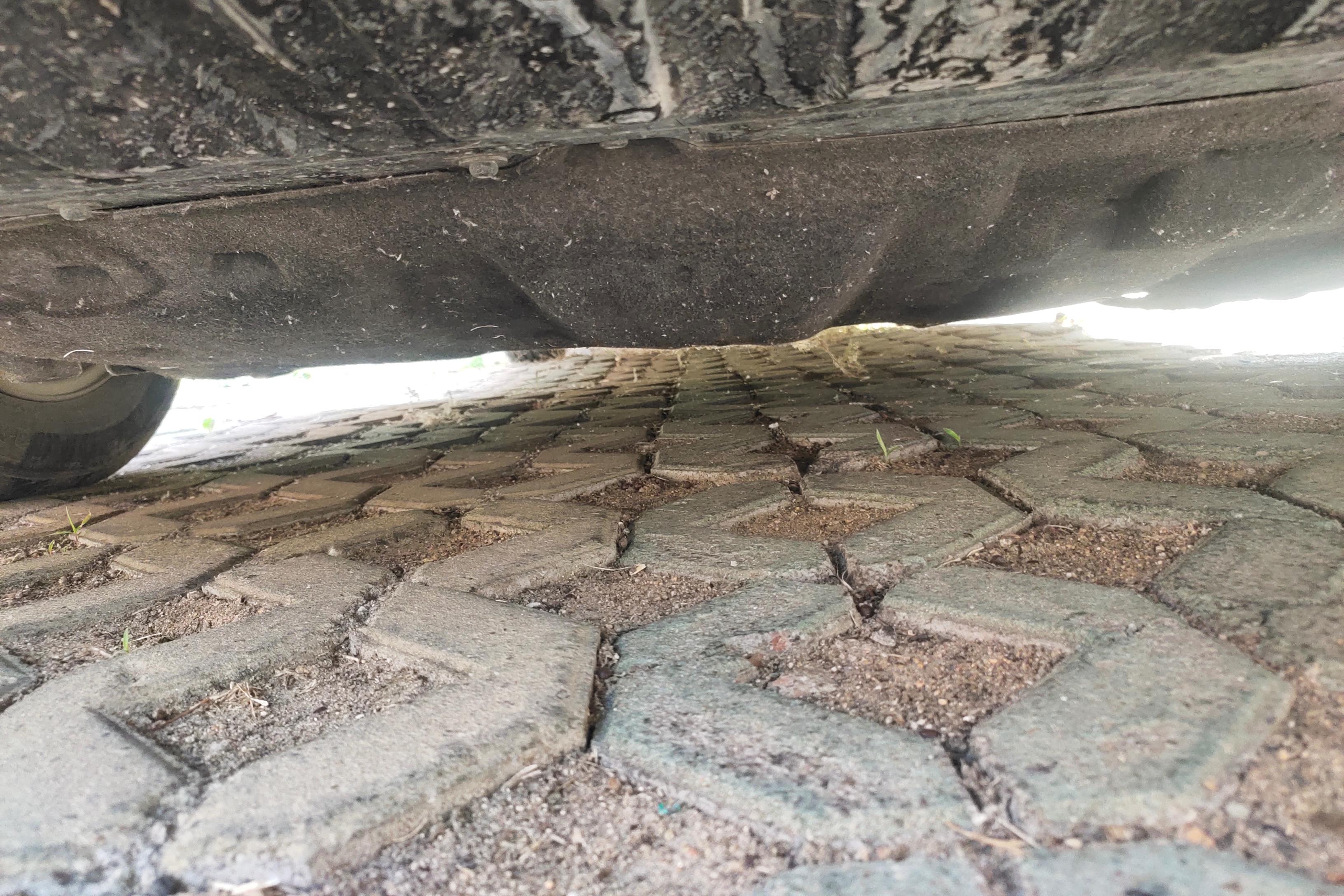 Ford Escort 2021 car image #5