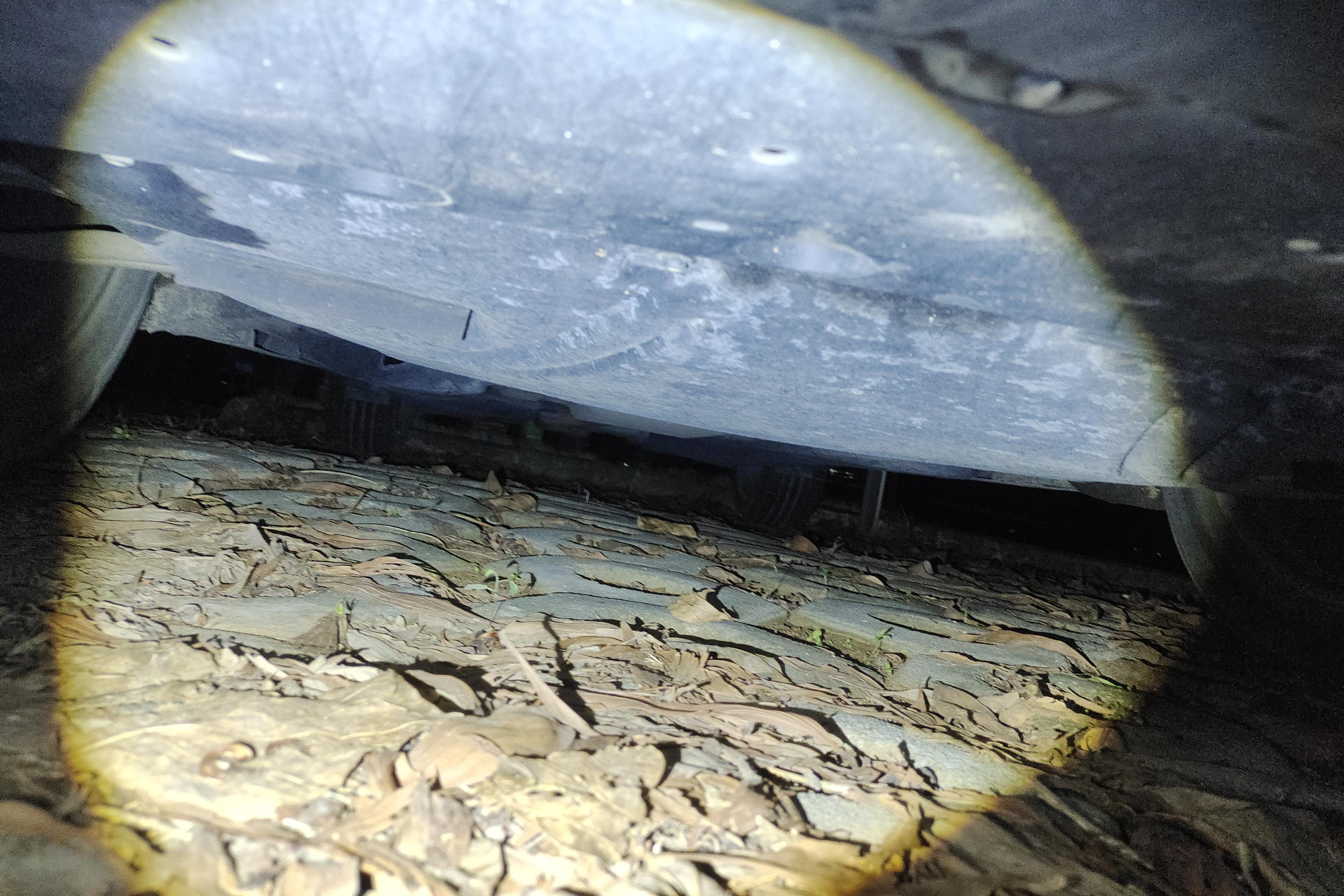 Ford Evos 2022 #5 Ford Evos 2022 imagem de carro #5