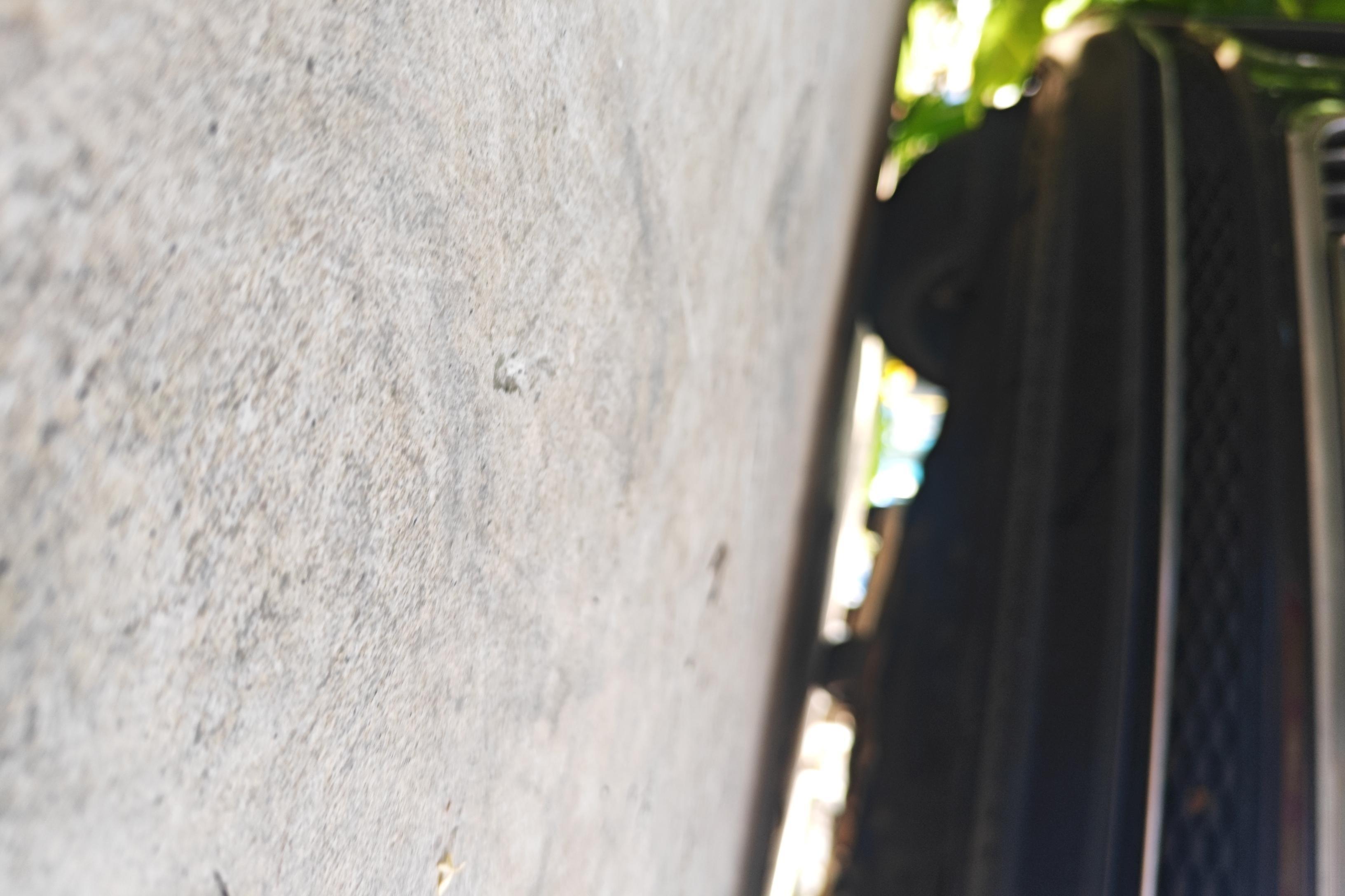 HongQi H9 2021 immagine di auto #5