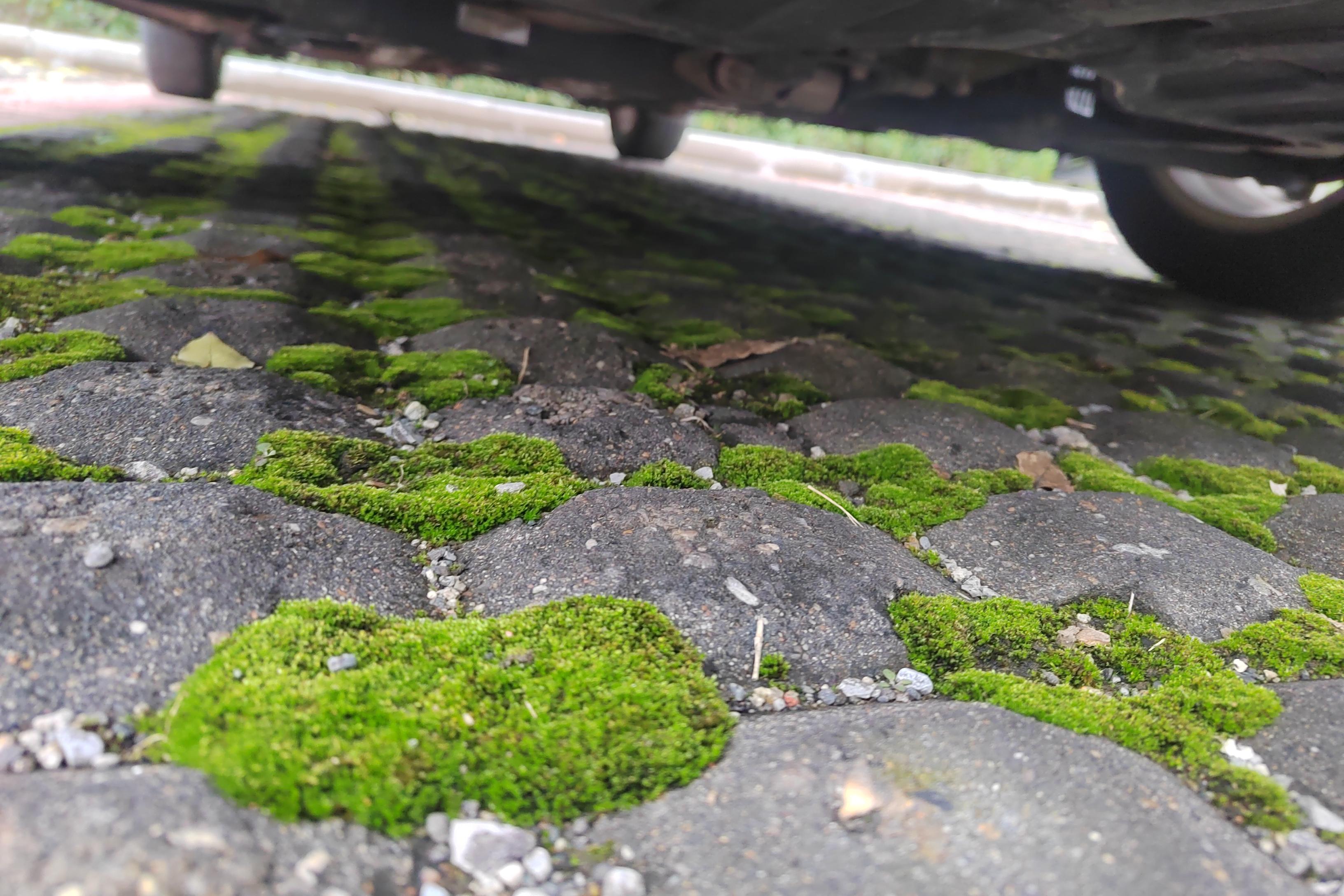 Kia Forte Koup 2015 image de voiture #5