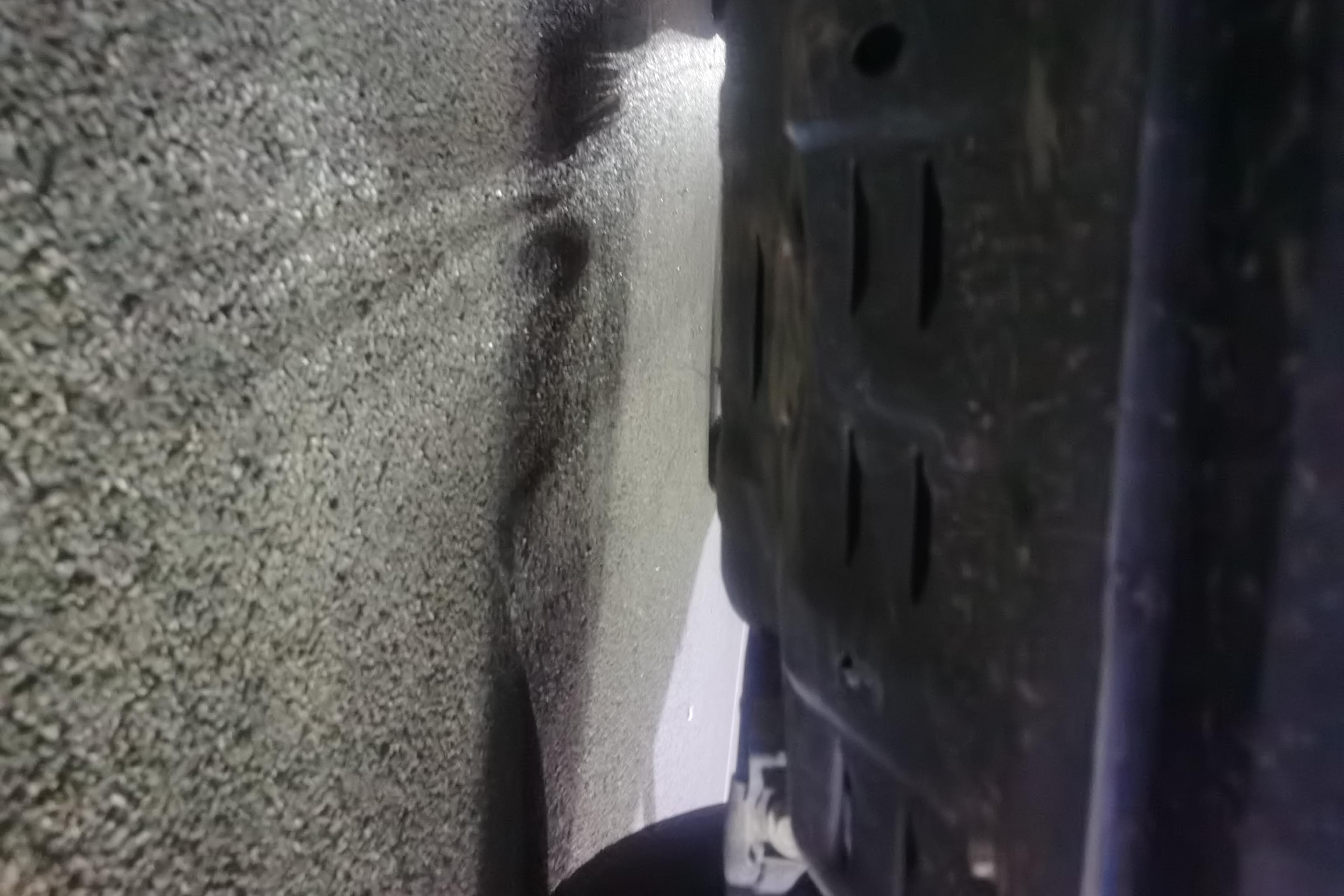 Tank 400 2024 car image #5