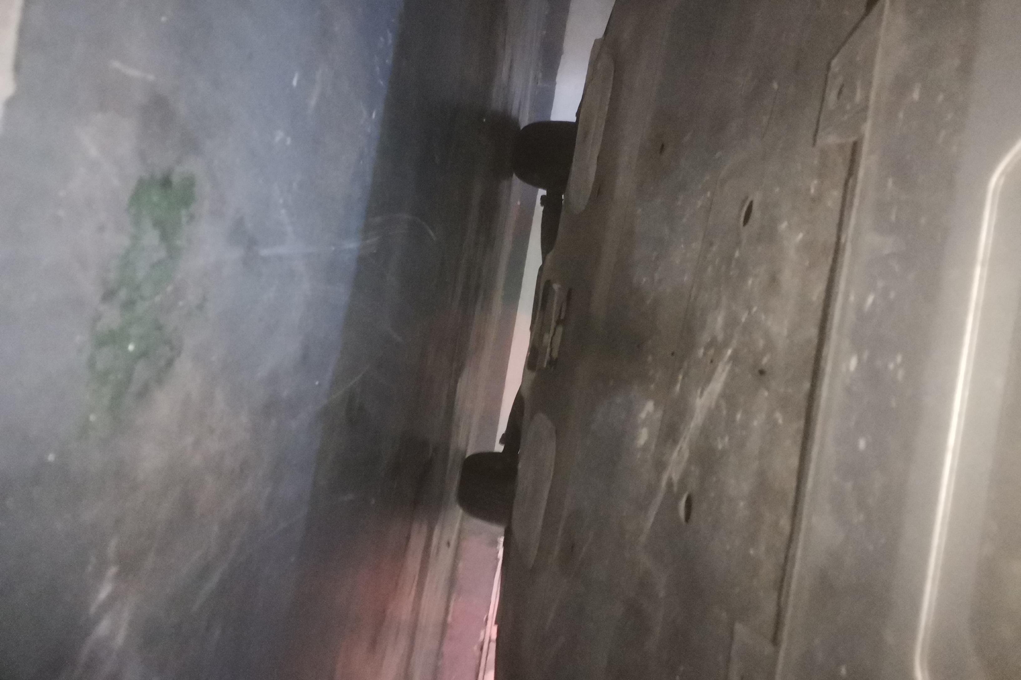 Ford Territory 2020 #5 Ford Territory 2020 car image #5