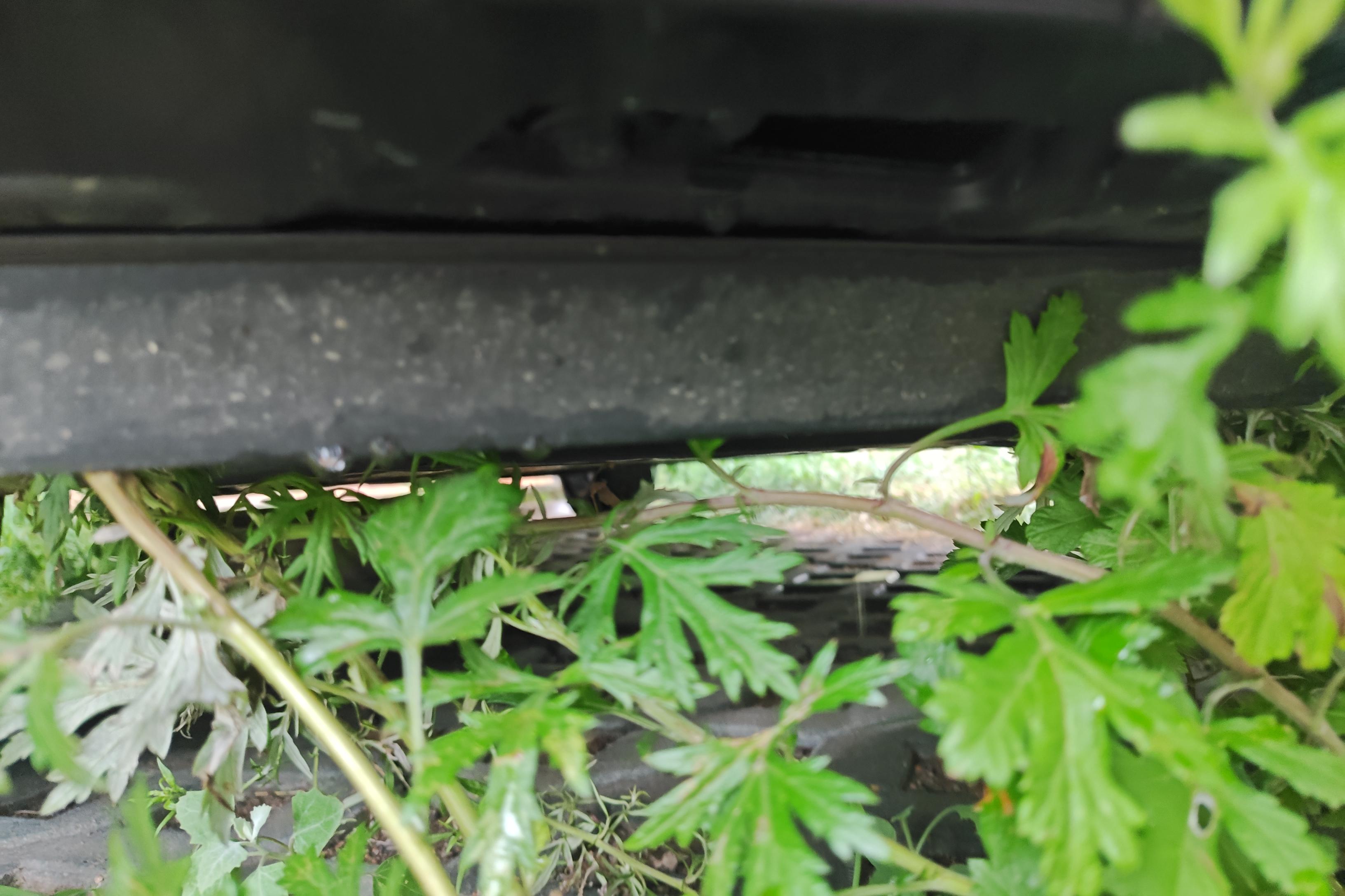 Honda Avancier 2022 car image #5