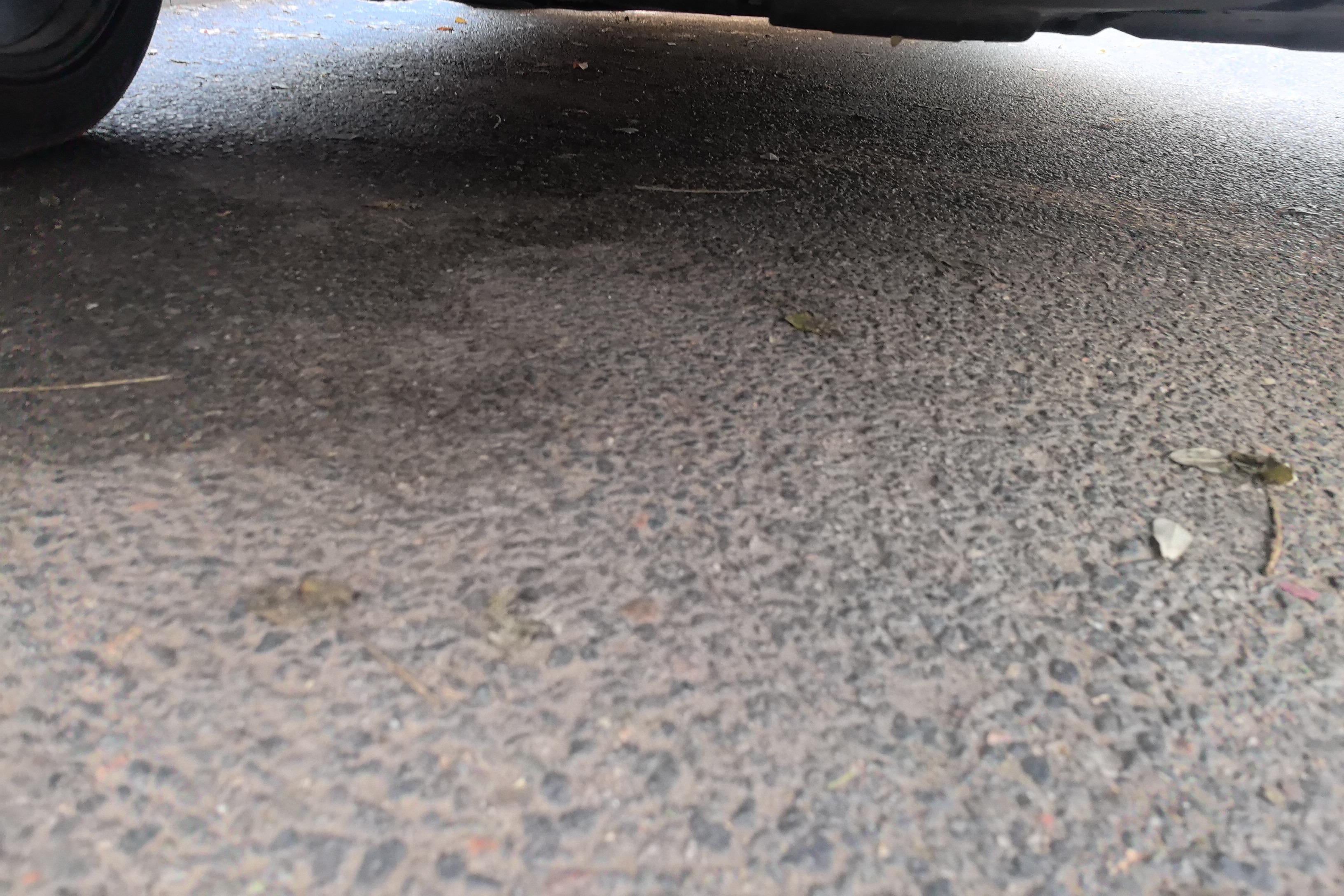 HongQi HS7 2021 car image #5