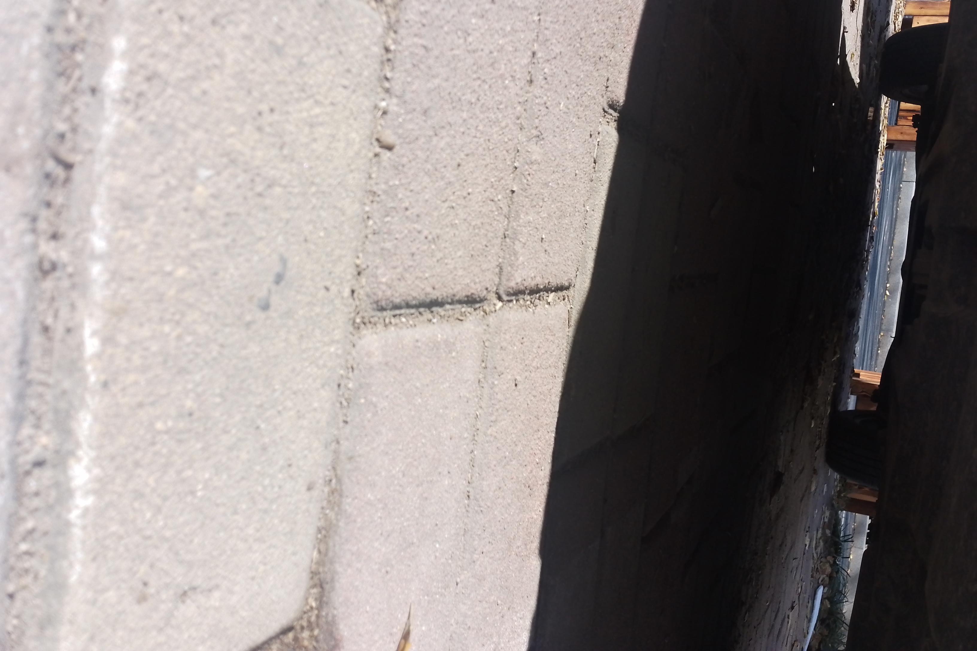 Ford Territory 2019 car image #5