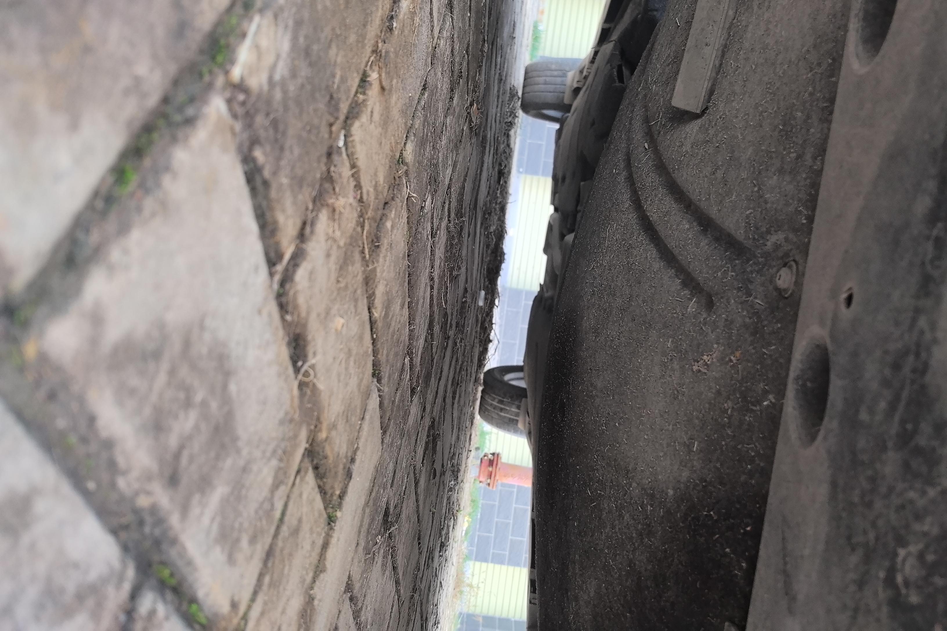 Ford Evos 2021 #5 Ford Evos 2021 immagine di auto #5