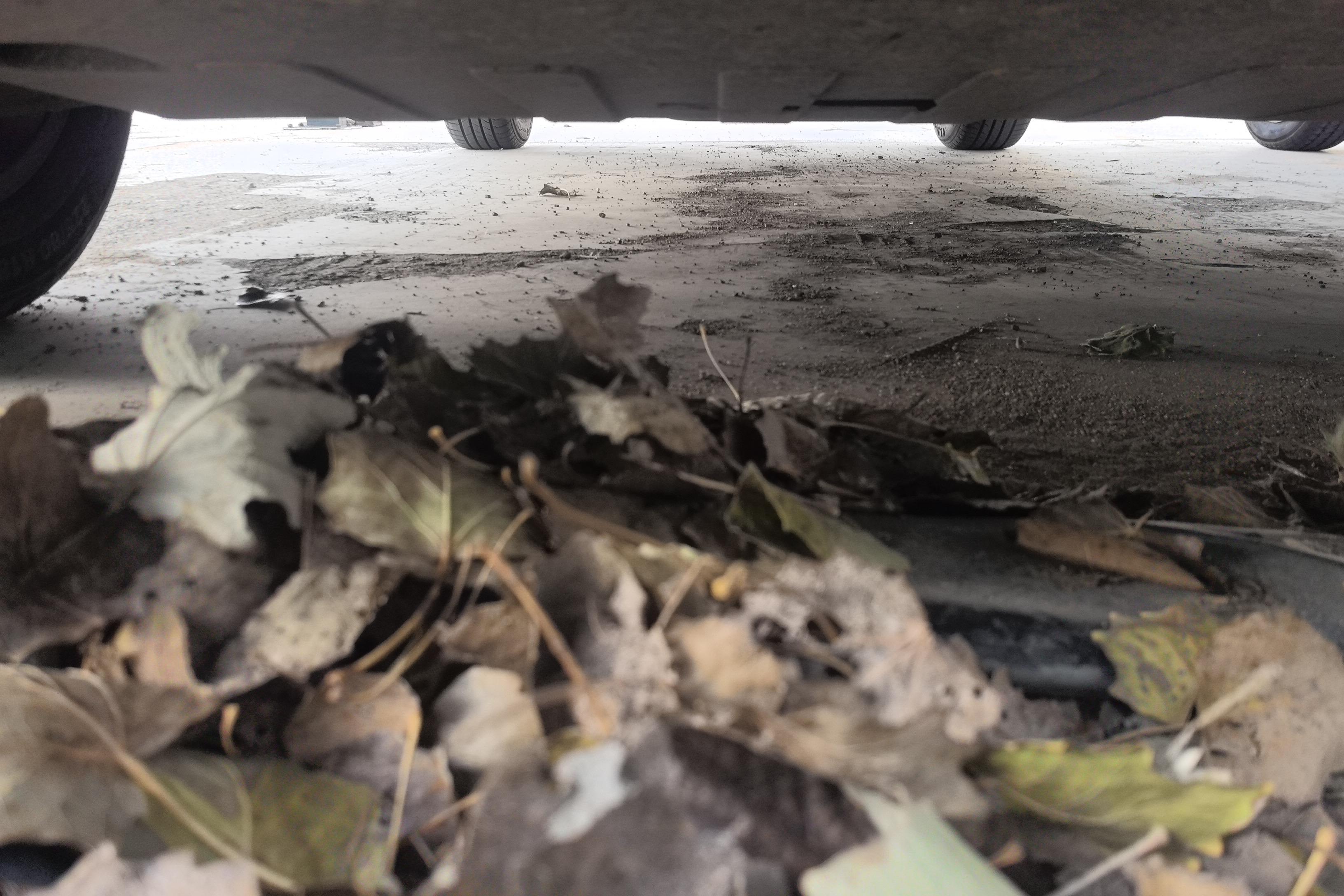 Neta U 2022 изображение автомобиля #5