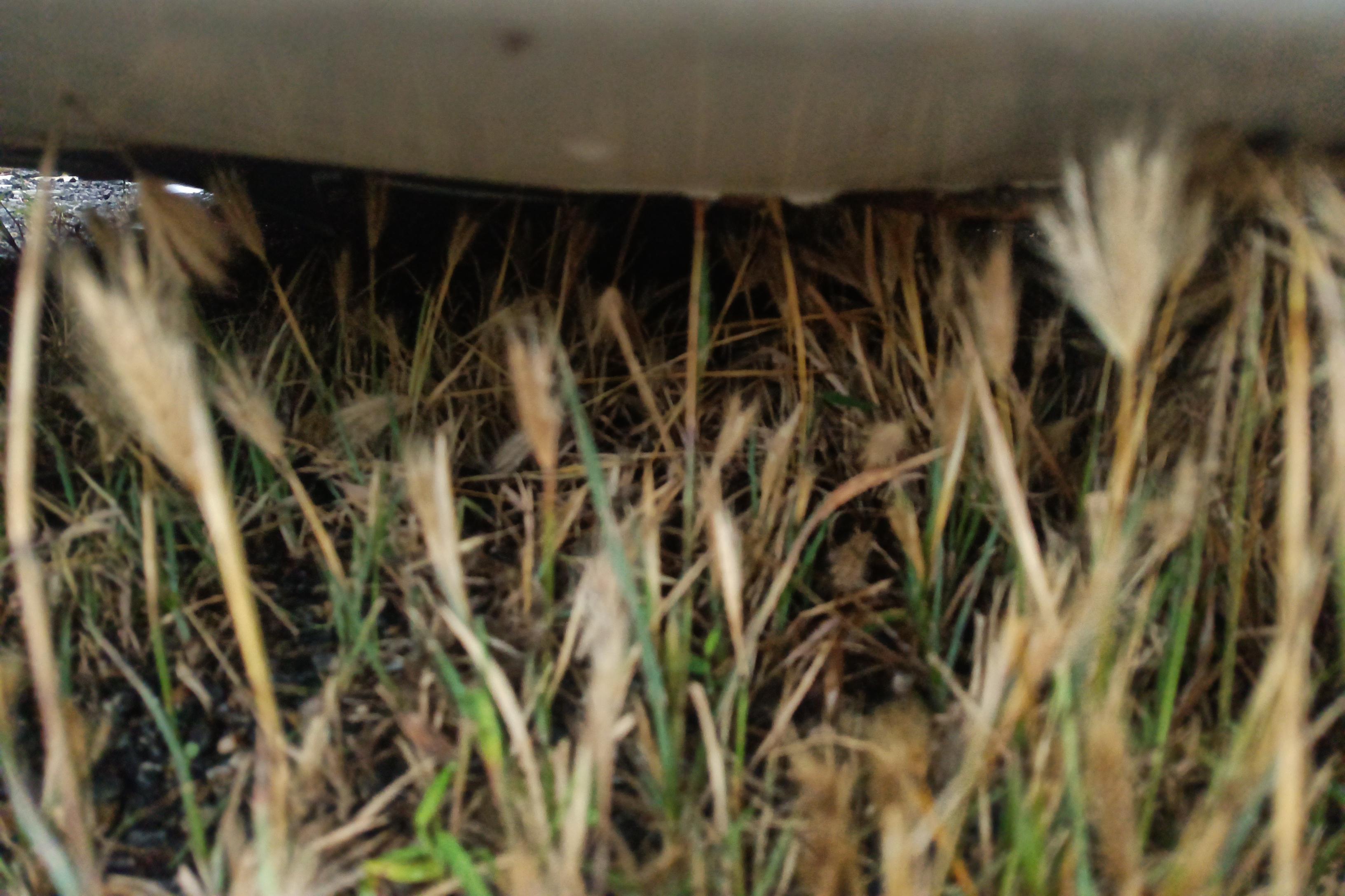 Chery Arrizo M7 2015 car image #5