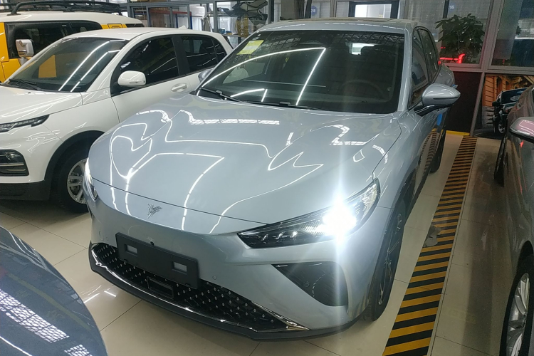 Neta L 2025 imagen de coche #5