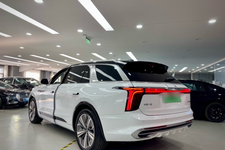 HongQi E-HS9 2024 car image #5