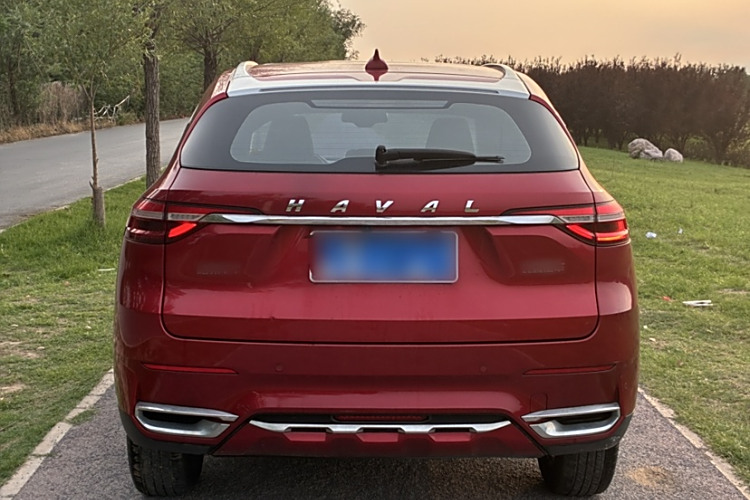 Haval F7 2019 car image #5