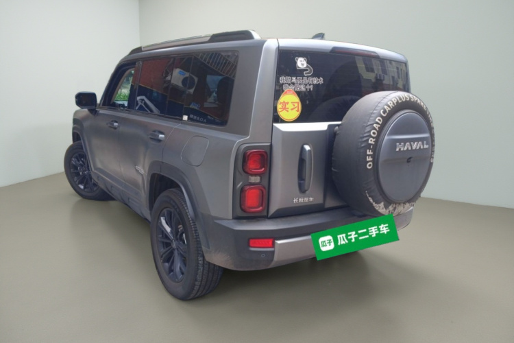 Haval Raptor 2024 immagine di auto #5