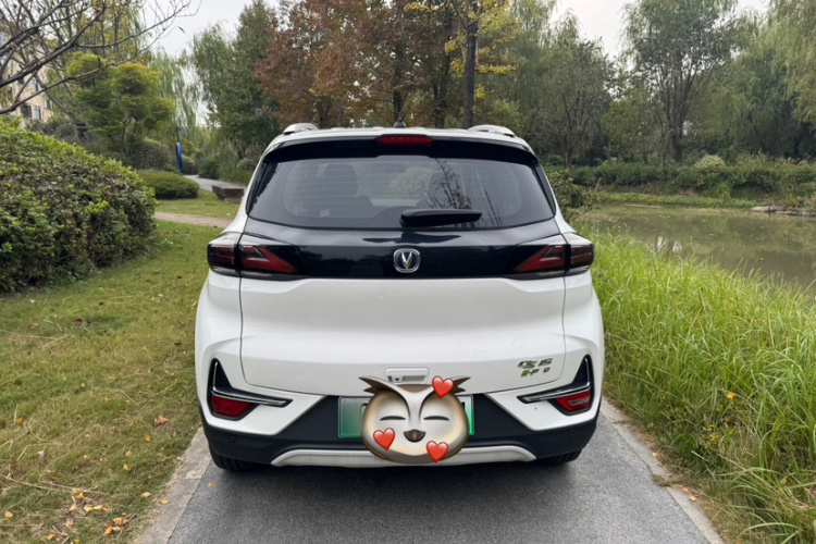 Changan E-Pro New Energy 2020 car image #5