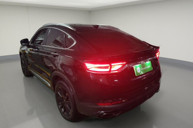 GEELY Tugella New Energy 2021 #5 GEELY Tugella New Energy 2021 car image #5