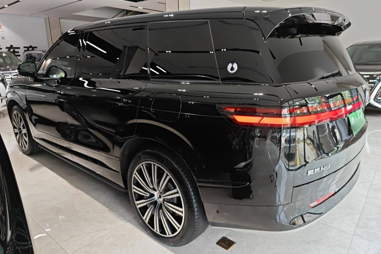 Denza N9 2025 imagem de carro #5