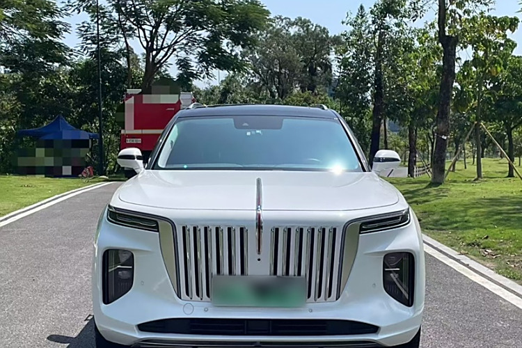 HongQi E-HS9 2021 immagine di auto #5