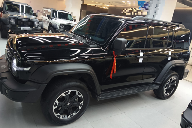 Tank 300 New Energy 2025 car image #5