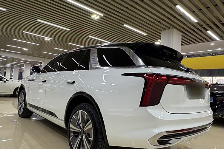 HongQi E-HS9 2021 immagine di auto #5