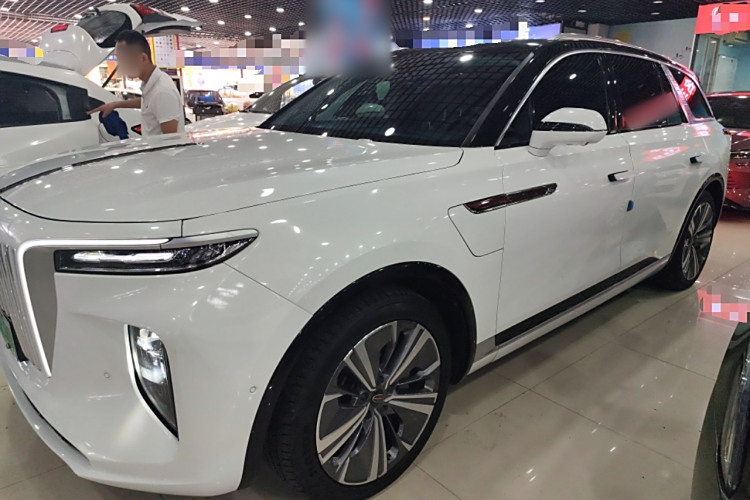 HongQi E-HS9 2021 immagine di auto #5