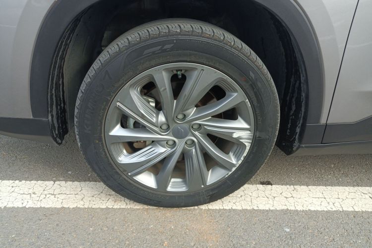 睿蓝汽车 睿蓝9 2023 汽车图片 #5