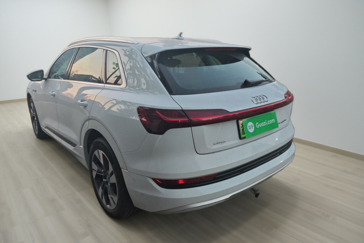 Audi e-tron (Imported) 2021 car image #5