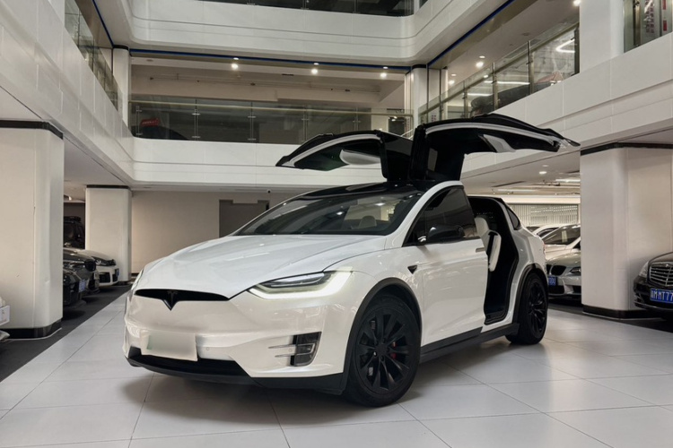Tesla Model X 2019 car image #5