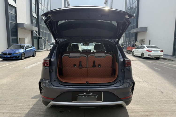 BYD Tang New Energy 2024 car image #5