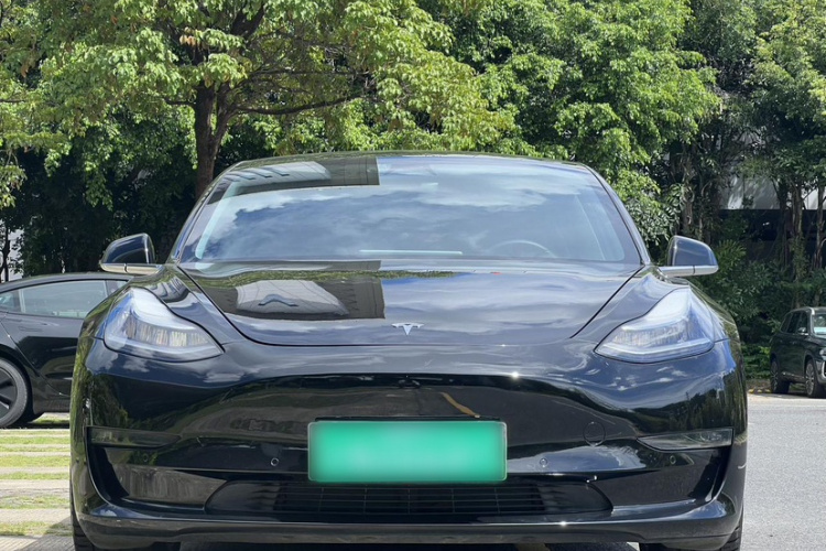 特斯拉 Model 3(进口) 2019 汽车图片 #5