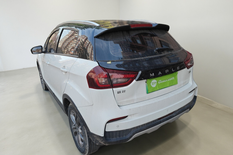 睿蓝汽车 枫叶30X 2021 汽车图片 #5