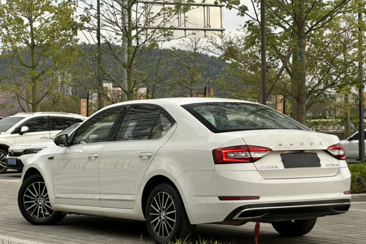 Skoda Octavia 2019 #5 Skoda Octavia 2019 imagen de coche #5