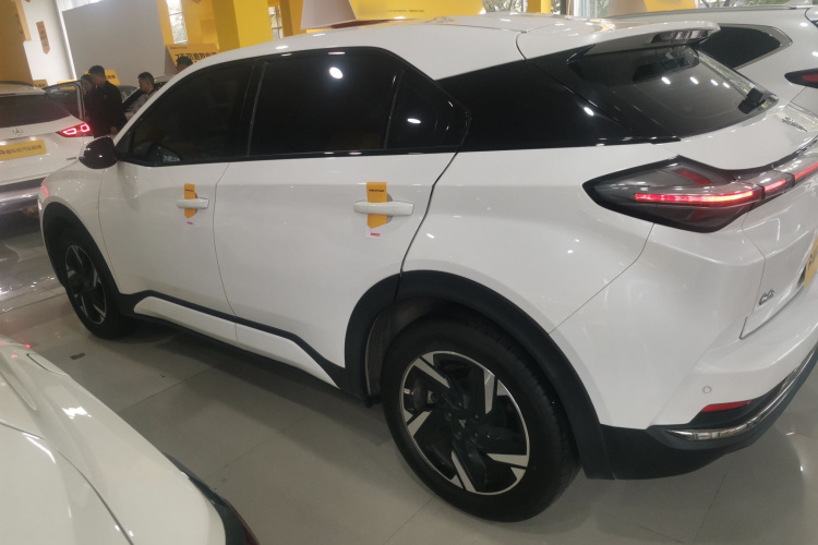 Neta X 2024 imagem de carro #5