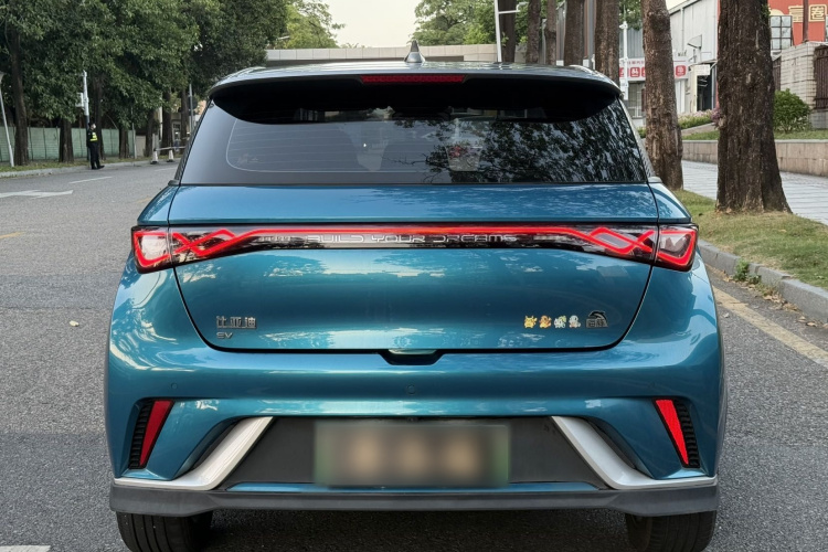 BYD Dolphin 2021 car image #5