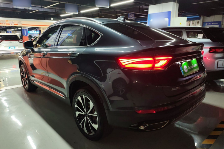 GEELY Tugella S 2021 immagine di auto #5