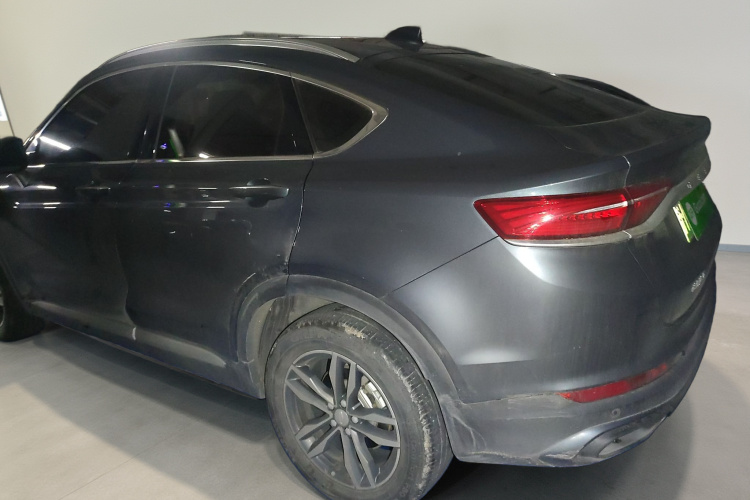 GEELY Tugella New Energy 2020 car image #5