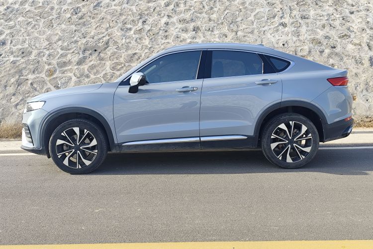 GEELY Tugella S 2021 car image #5