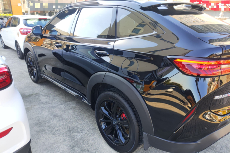 Haval H6S 2022 car image #5