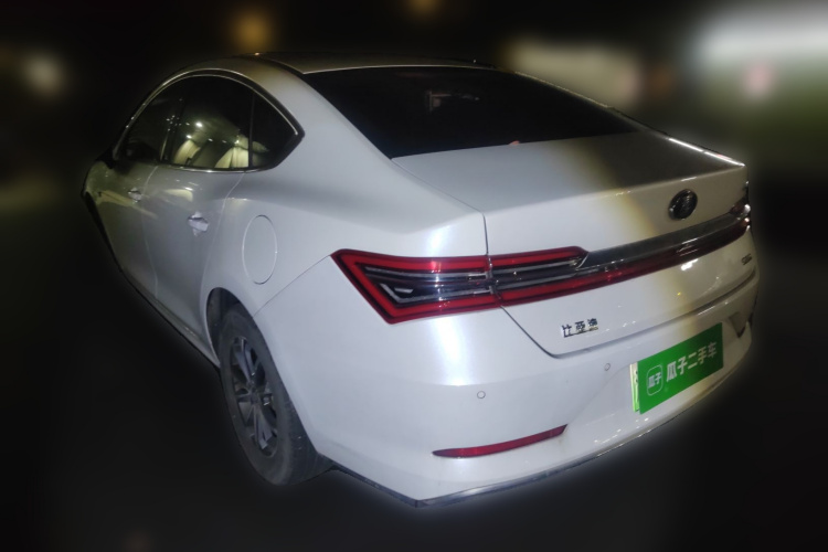 BYD Qin Pro 2020 car image #5